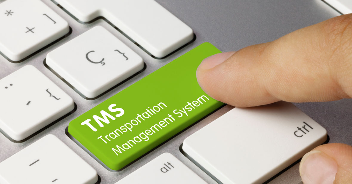 logiciel TMS